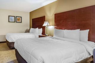 Comfort Inn Foxboro - Mansfield - 2