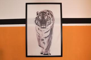 FullHouse - Halle - T28 - Tiger Apartment - Halle an der Saale - 6