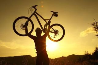 Traumwohnung 5 Min zum Bike Park - 2