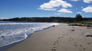Lonely Rock Seaside Bungalows - Larrys River - 2