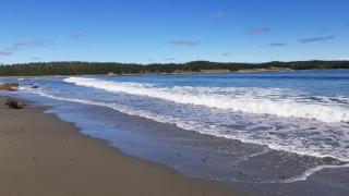 Lonely Rock Seaside Bungalows - 3