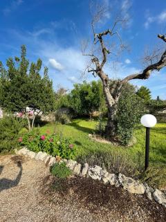 Tenuta Palummaru - Tricase - 4