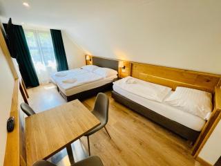 Villa Pinus Slovenský raj - Hotel Čingov dependance - Smižany - 1