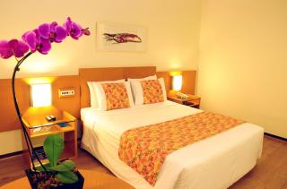 Grand Hotel Royal Sorocaba by Atlantica - Sorocaba - 9