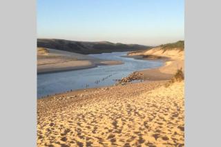 Appartement tout confort proche plage - Moliets-et-Maa - 0