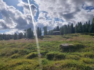 Villmarksgård, hytte ved vannet - Hattfjelldal - 7