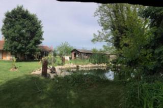 Tanya Anna - Csengele - 8