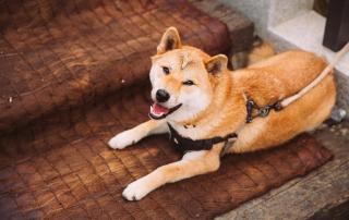 Heart Awakening Lodge Wulingyuan - 5