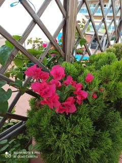 Atico in Cap Salou with amazing rooftop - 8