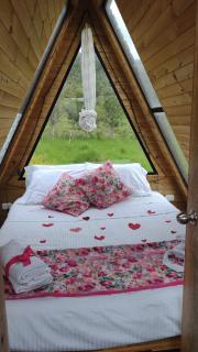 VILLA DE LOS ANGELES GLAMPING - Anolaima - 3