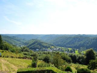 Holiday home in Rochehaut with fenced garden - Rochehaut - 5