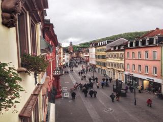 The Dubliner Hotel & Irish Pub - Heidelberg - 6