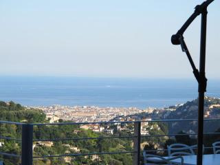 Villa 5* Nice St Pancrace - Nizza - 9