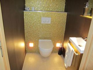 Villa 5* Nice St Pancrace - Nizza - 1