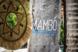 New Teddy's on the Beach - Jambiani - 6