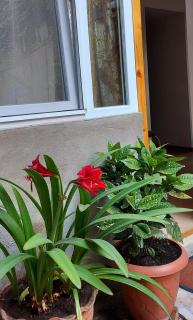 OldHouse - Tbilisi - 1
