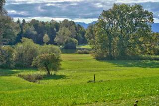 Brausamhof - 1