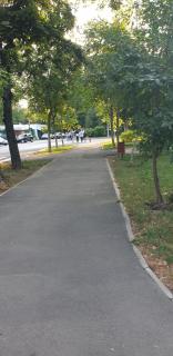 APARTAMENT PARK - 1