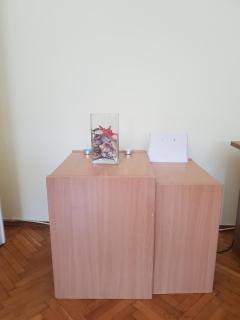 Garsonjera Ilic - Jagodina - 1