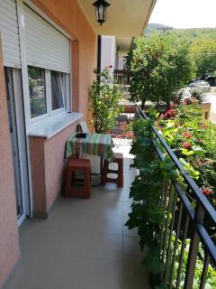Sokobanja apartman Aviva - Soko Banja - 1