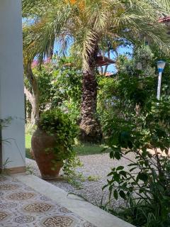Isabel House - Isola delle Femmine - 9
