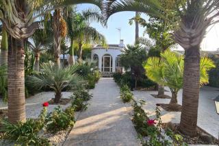 Tropical Paradise Villa in Torrevieja - Torrevieja - 8