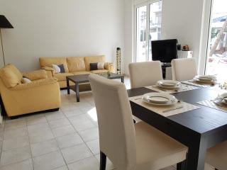 Comfortable Large Apartment - 0