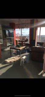 Viví Home - Mar del Plata - 8
