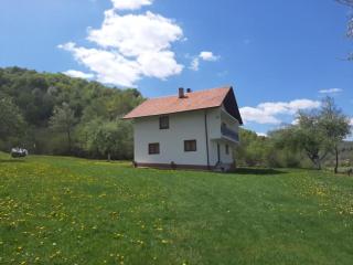 Villa Goleš Travnik - Travnik - 0