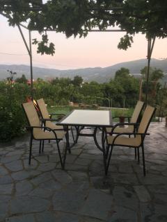 Guesthouse "Athina" - Ellinikón - 5