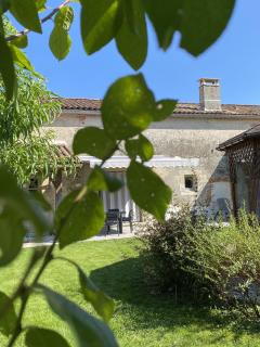 Gîte des oiseaux - Préchac - 8