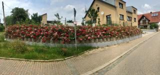 Ferienwohnung Südpfalz mit Balkon & Weinbergblick - Valley SÜW - 1