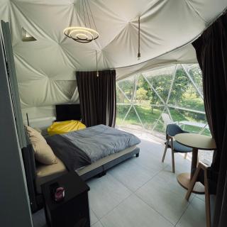 Panipa Organic Farm and Glamping - 2