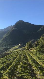 Villa Corazza-Bezauberndes Appartment+ Schwimmbad - Tirolo - 3