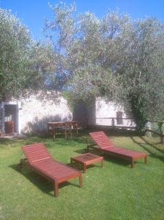 Agriturismo LE CASE ROTTE - 3