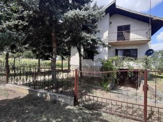 Bački Raj - 0