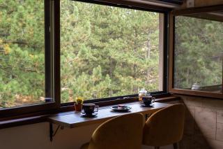Zlatibor Apartman & Spa Casa Perfetta - Zlatibor - 5