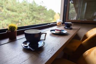 Zlatibor Apartman & Spa Casa Perfetta - Zlatibor - 4