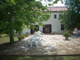 azienda agrituristica Allumiere - 4