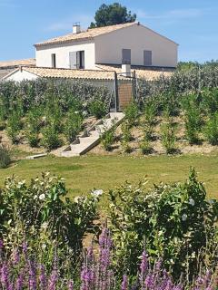 Onze Villa in Provence, Mont Ventoux, New Luxury Villa, Private Pool, Stunning views, Outdoor Kitchen, Big Green Egg - 2