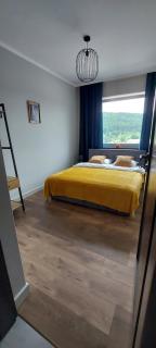 Apartament w Bieszczadach - Ustrzyki Dolne - 5