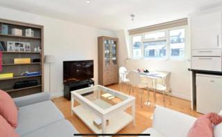 Bright 1 Bedroom Central London - Londra - 7