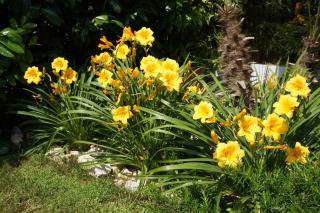 Residence Rivachiara (check-in at Hotel Riviera in Viale Rovereto, 95) - Riva del Garda - 1
