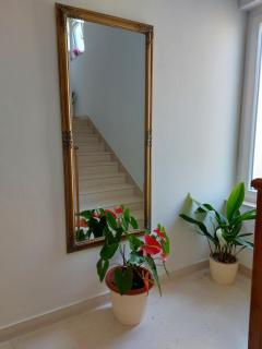 Apartments Diridonda - 6