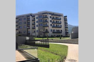 Yellow Apart @ Vitosha, Sofia - 1