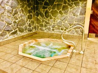 Beech Mountain Mile High Ski Suite - 3