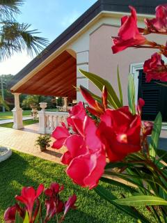 B&B Terra Di Liguria - Casarza Ligure - 7