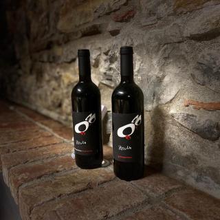 Pizzulin - Wine & Living - Prepotto - 5