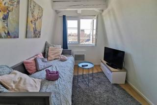 ** appartement cathédrale Strasbourg centre** - Estrasburgo - 0