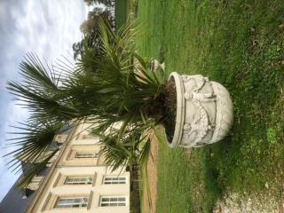Château de Monhoudou - Monhoudou - 3